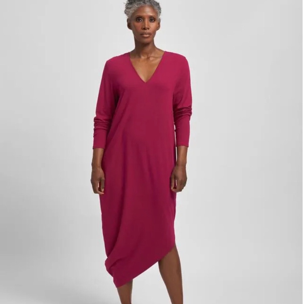 NWT long sleeve Geneva dress